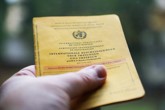 Hand hält Impfbuch oder International certificate of vaccination 