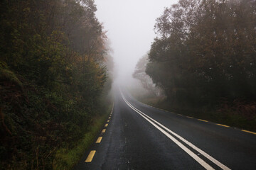 irish road in the fog
