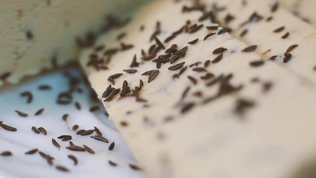 Fresh cheese with cumin. Cumin sprinkled on cheese. The tray rotates. Selective focus