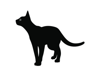 Black silhouette of a cat isolated on white background. The symbol of Halloween. Can be used as a sticker template, logo element, icon for web design. Flat style. Vector illustration.
