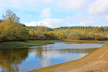 Reflections in Trenchford Reservoir, Devon, in Autumn	