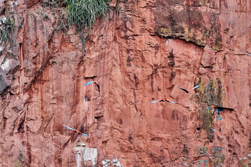 Beautiful scarlet macaw, Ara macao, a large red, yellow, and blue parrot in Central and South American, at Buraco das Aras in Brazil, South America