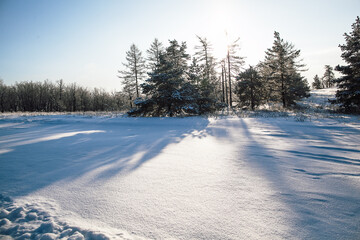 winter outside the city, landscape with snow in russia, cold season, sunny morning in winter, shade from trees, frosty day