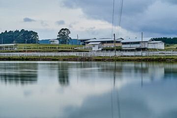 Aparados da Serra, Brazil - 08 18 2019:
Reflection on a beautiful and calm lake at a cattle farm, fazenda, in southern Brazil close to the Aparados da serra