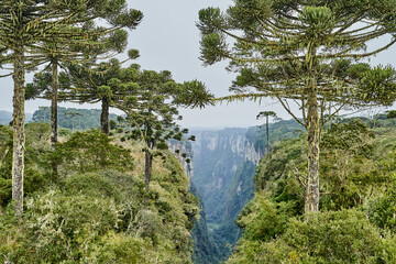 Itaimbezinho canyon at the Aparados da Serra National Park, located in the Serra Geral range of Rio...