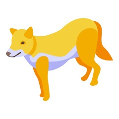 Red wolf icon. Isometric of red wolf vector icon for web design isolated on white background