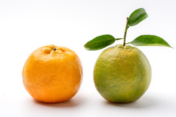 Beautiful tangerine isolated on white background.