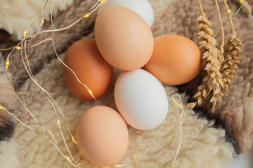 Large chicken eggs against the background of fur