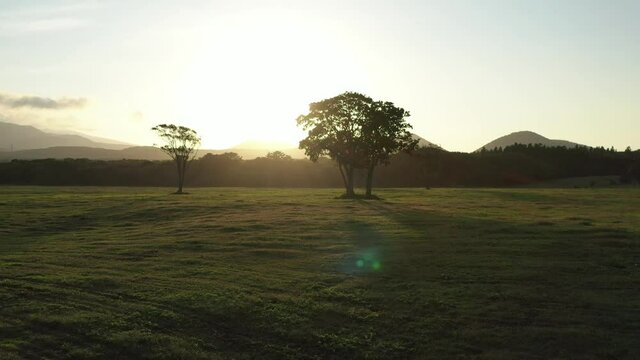 A drone video of a meadow at a golden sunset.