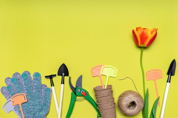 Fresh tulips flower, seedling pots, ball of twine, garden tools and gloves on light pastel background. Creative composition. Gardening, spring work concept. Flat lay, top view, copy space