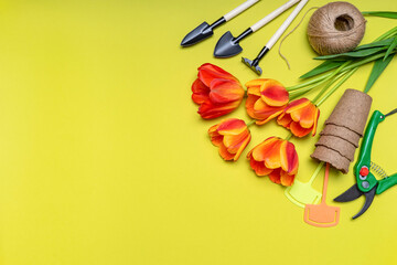 Fresh tulips flowers, seedling pots, ball of twine, garden tools and signs on light pastel background. Creative composition. Gardening, spring work concept. Flat lay, top view, copy space