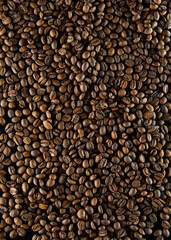 Fresh coffee beans close up