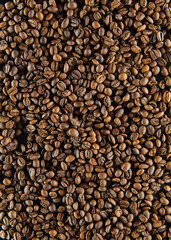 Fresh coffee beans close up.