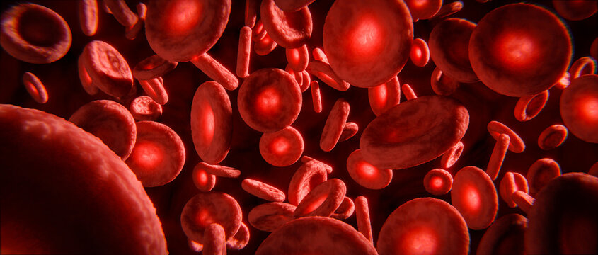 Blut: Rote Blutk&ouml;rperchen oder Blutpl&auml;ttchen in Vene oder Arterie: Konzept Blutkreislauf