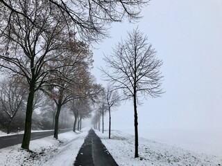 Winterlandschaft bei Helmstedt / Harbke / Marienborn (Niedersachsen, Sachsen-Anhalt)