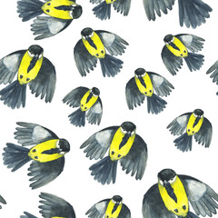 Seamless pattern Great Tit or Titmouse flying bird on white background. Watercolor hand drawing illustration. Perfect for digital paper, wrapping, animal print, wallpaper.