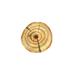 Wooden stump or wood round texture isolated on white background. Watercolor hand drawing illustration. Top view. Perfect for print, card, design.