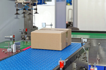 Box Conveyor Factory