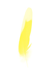 yellow feather on white background