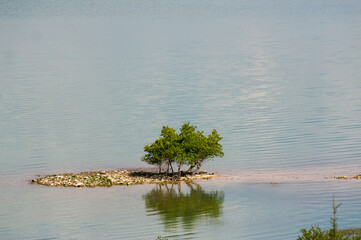 Mała wysepka na jeziorze z rosnącymi na niej drzewami 
