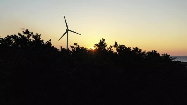 Drone video showing red sunset and windmills and trees and sea
