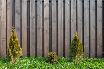 A wooden fence of brown upright boards, with a lawn of lush green grass and bushes in the foreground.