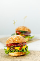 Delicious bright hamburger