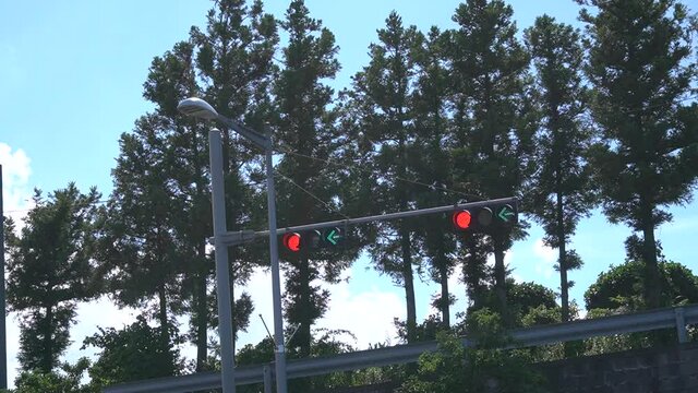 Traffic light footage with blue sky and big tree.