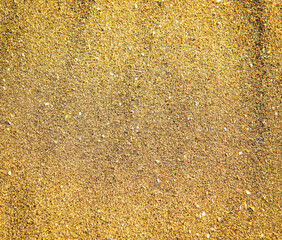Yellow sand closeup as texture. Selective focus