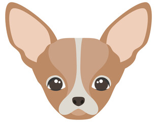 Head of Chihuahua. Cute pet in cartoon style.