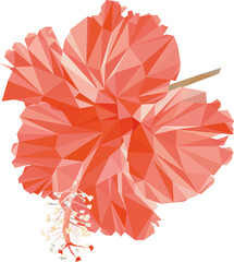 Lowpoly Hibiskus