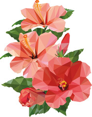 Lowpoly Hibiskus © Artenreich