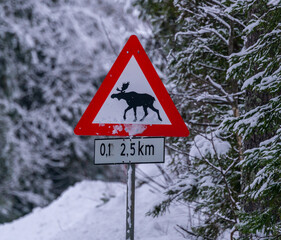 Crossing moose warning sign on the side of a road in the midst of  a snowy winter.