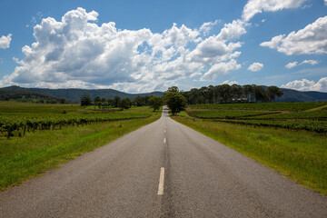 Road - Hunter Valley