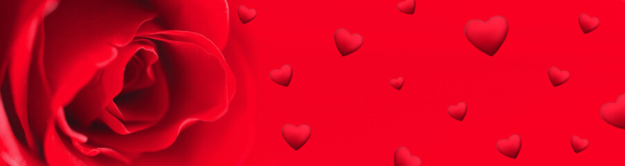 Horizontal banner background with a red rose on the left side and many little hearts . Valentines day. Copy space for your text.