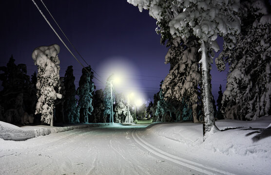 Cross country skiing trails through the forest at night, lit with lampposts along the track.