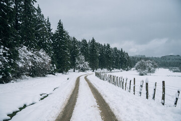 Camino en un monte con nieve con arboles a los lados y una valla de madera. 