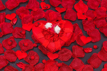 Beautiful valentines day background, gift box between Heart-shaped rose petals and ladybug on Black and Red Background. Selective focus, top view.