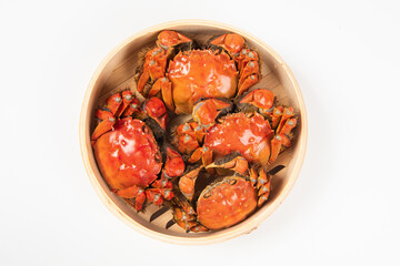 Close up of Chinese mitten crab, hairy crabs isolated on white background.