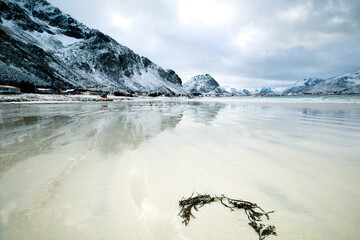 Norway. Lofoten Islands. Sandy beach in the background of the mountains.