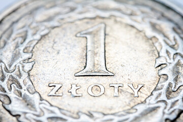 One Polish zloty coin macro detail
