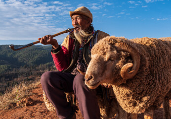 An old man sit with a sheep 