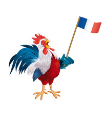 poulet, coq, de France, Français, ,  oiseau, oeuf, fière, production, animal, ferme, volaille, coquelet, isolé, poule, rouge, blanc, bec, nature,  oiseau, agriculture, coloré, domestique, rural, beau  © behzadillustrations