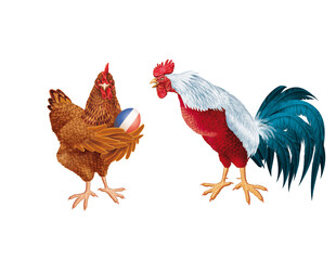 poulet, coq, de France, Français, ,  oiseau, oeuf, fière, production, animal, ferme, volaille, coquelet, isolé, poule, rouge, blanc, bec, nature,  oiseau, agriculture, coloré, domestique, rural, beau 