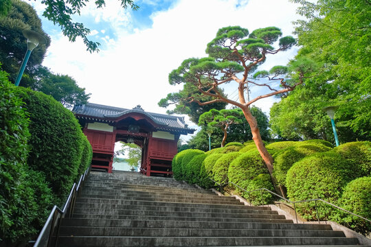 護国寺 不老門