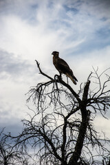 viajar por el mundo- travel the world
