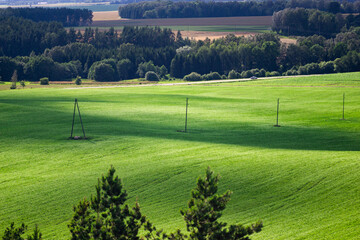 a field in summer