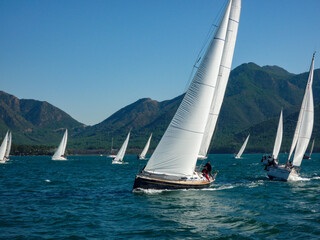 sail boat yacht regatta race blue sea and sky and mountain background - obrazy, fototapety, plakaty