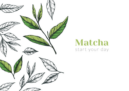 Macha Images – Browse 105,718 Stock Photos, Vectors, and Video