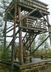rainy day, rainy background, traditional bog landscape, wooden lookout tower in the bog, swamp grass and moss, small bog pines during rain, swamp in autumn